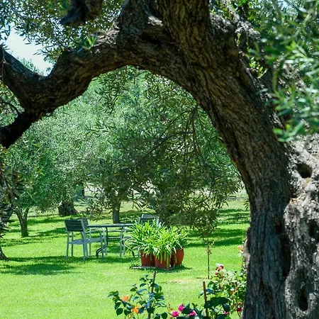 Ellie's Studios-apartments Lägenhet *